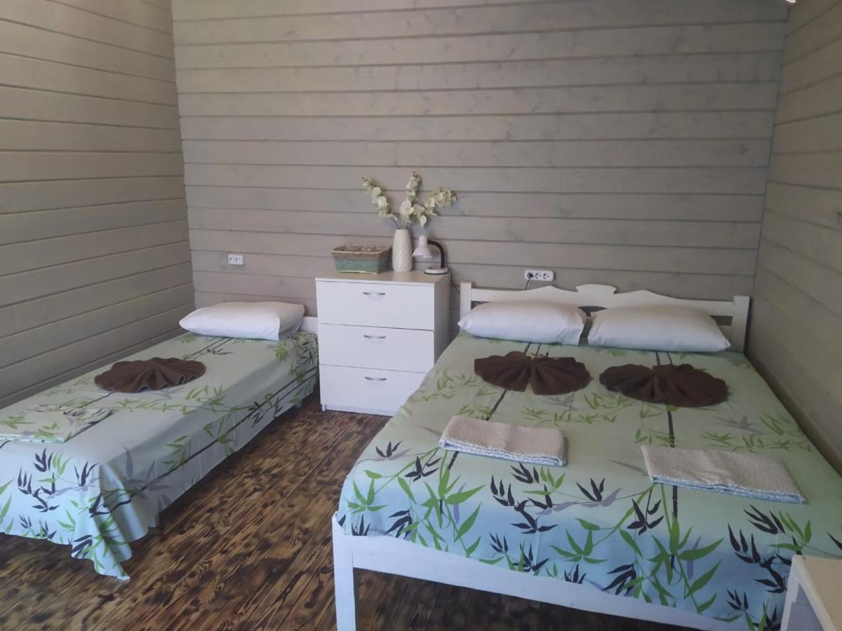 Guest House Lev ピツンダ エクステリア 写真