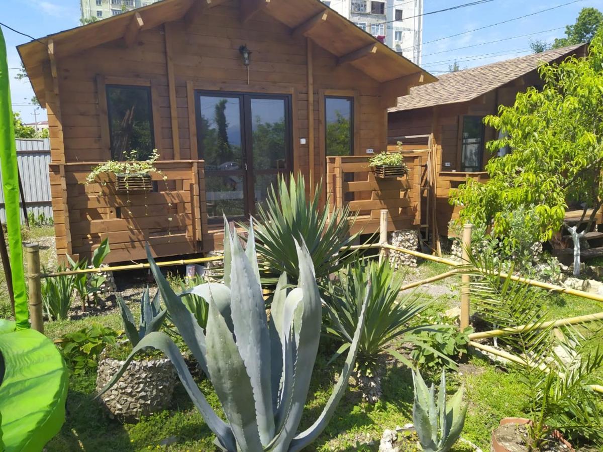 Guest House Lev ピツンダ エクステリア 写真