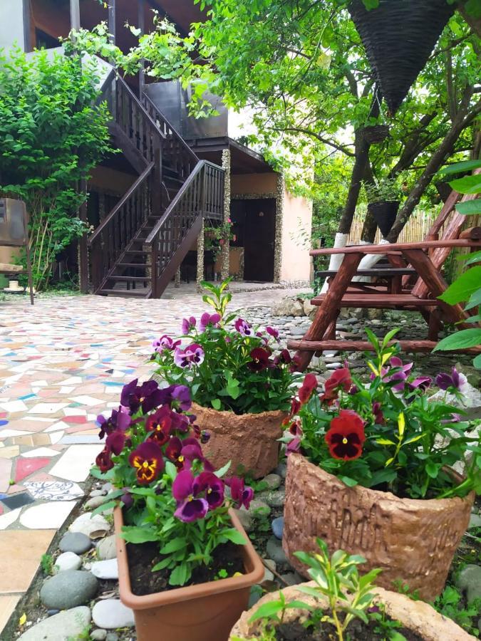 Guest House Lev ピツンダ エクステリア 写真